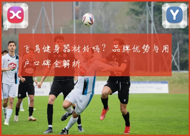 飞鸟健身器材好吗？品牌优势与用户口碑全解析