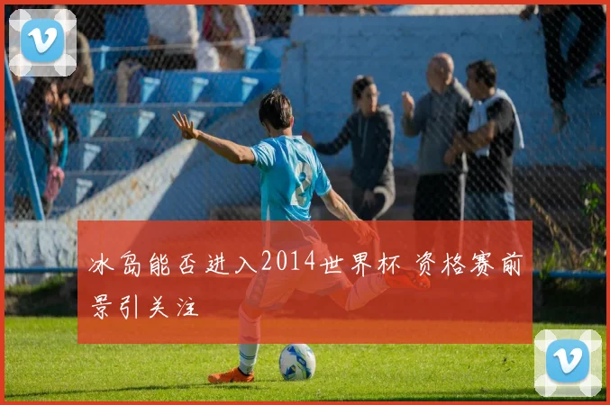冰岛能否进入2014世界杯 资格赛前景引关注